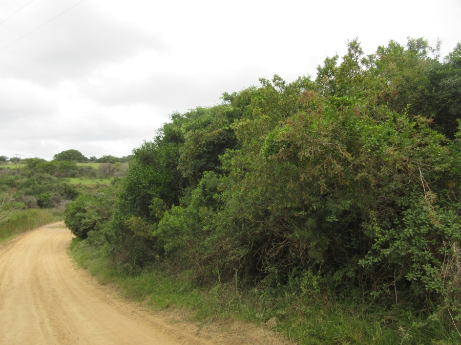 0 Bedroom Property for Sale in Bathurst Eastern Cape